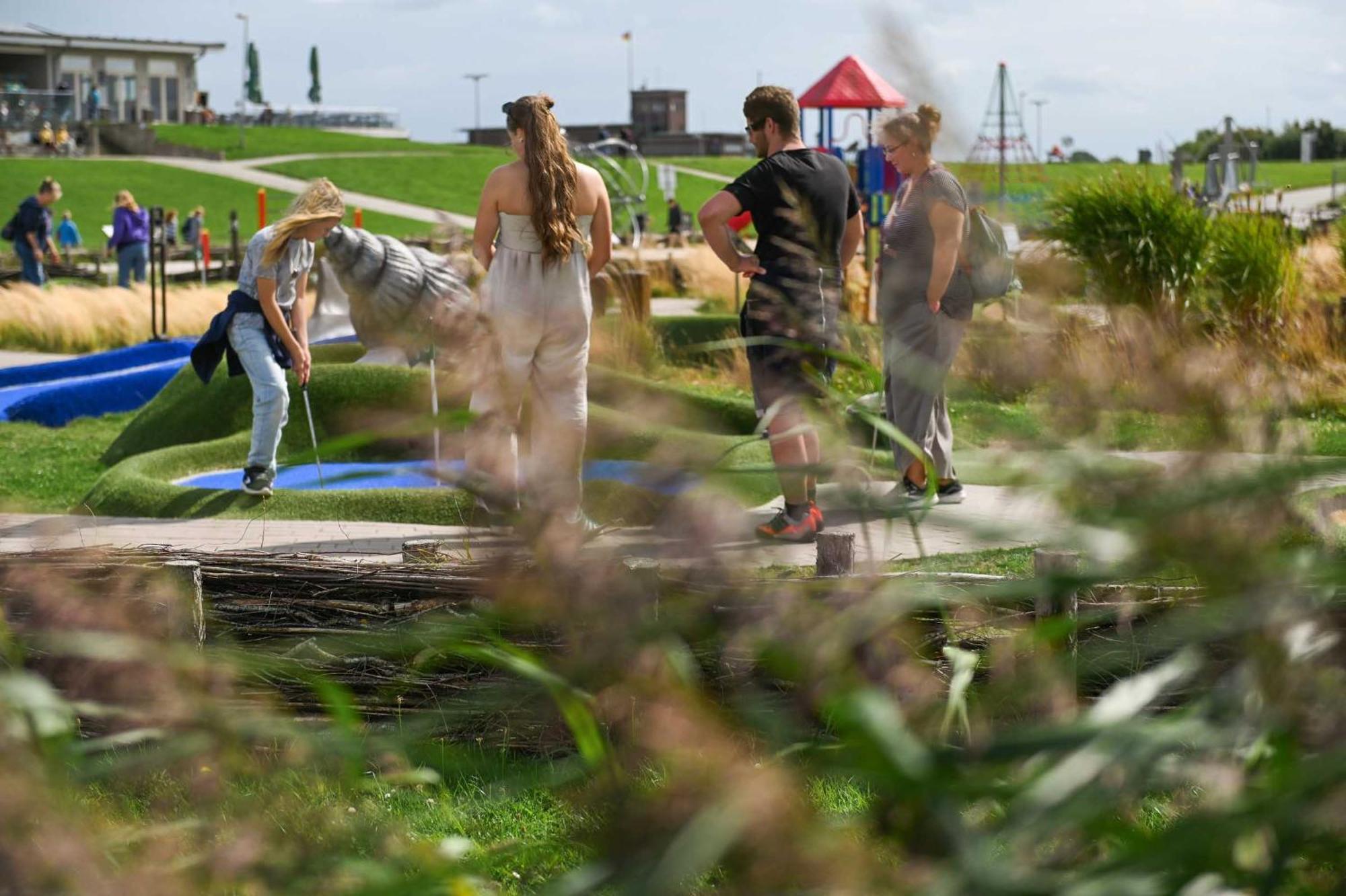 Tiny House Pioneer 18 Zur Meerseite - Green Tiny Village Harlesiel Каролинензиль Экстерьер фото